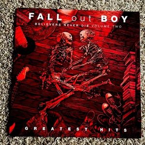 Fallout boy vinyl